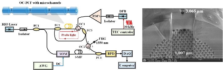 All-fiber Photothermal Interferometry Probe